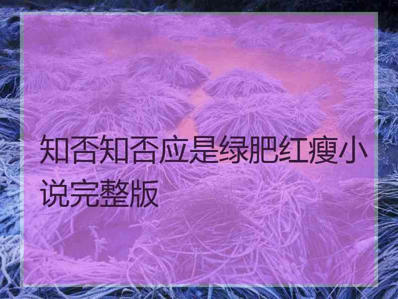 知否知否应是绿肥红瘦小说完整版