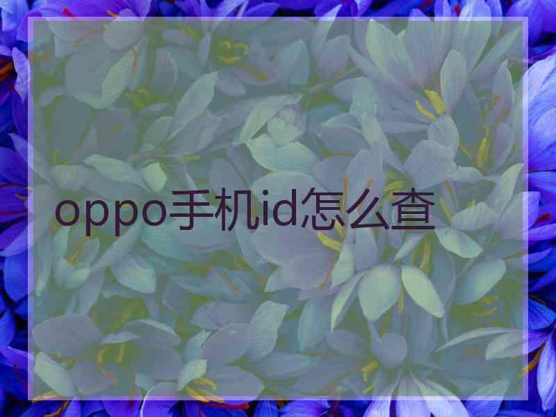 oppo手机id怎么查