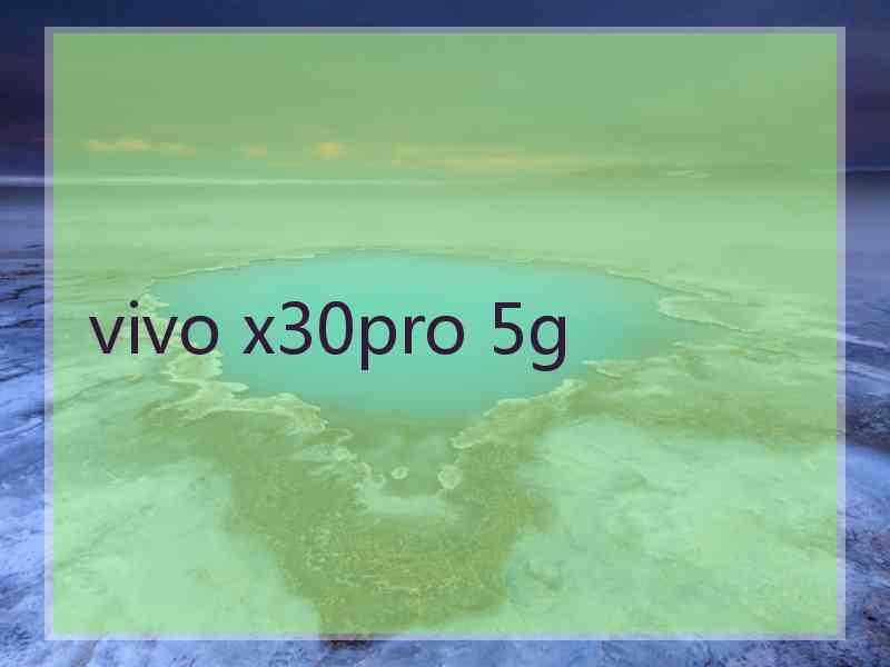 vivo x30pro 5g