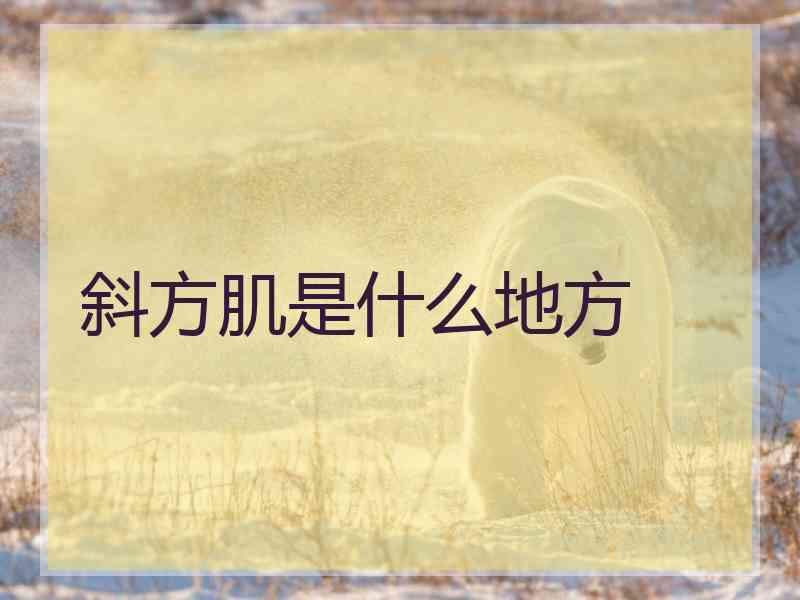 斜方肌是什么地方