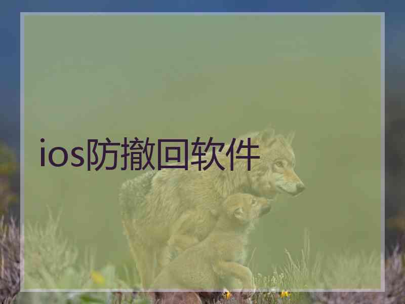 ios防撤回软件