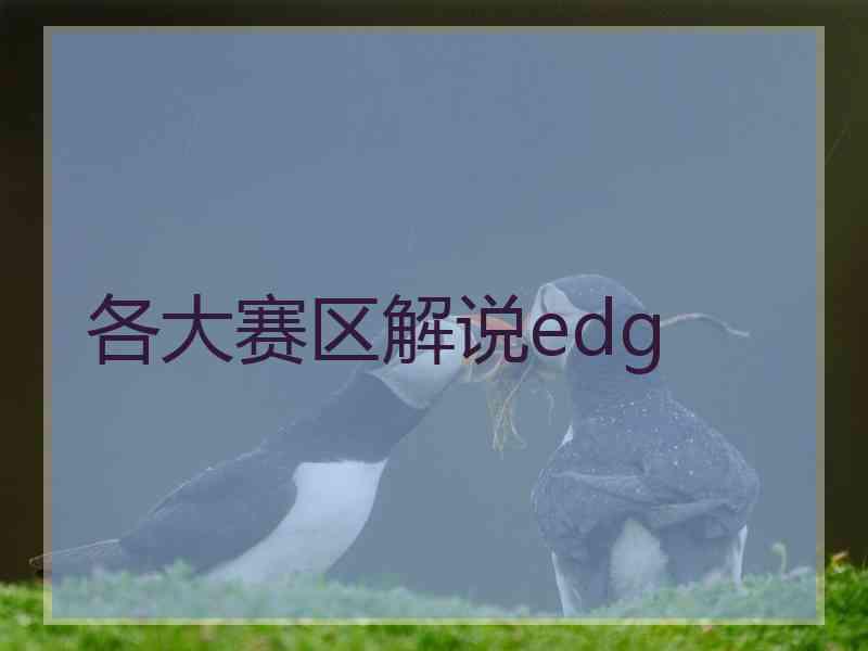 各大赛区解说edg