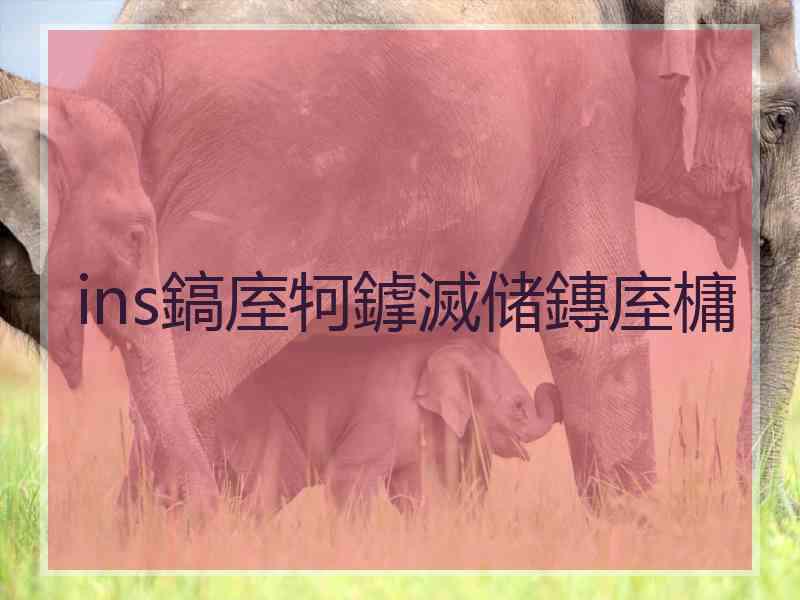 ins鎬庢牱鎼滅储鏄庢槦