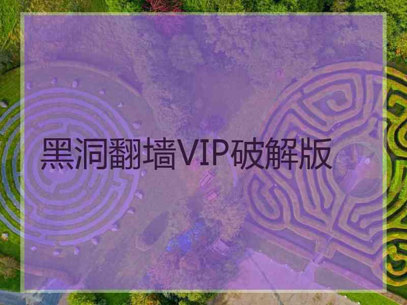 黑洞翻墙VIP破解版