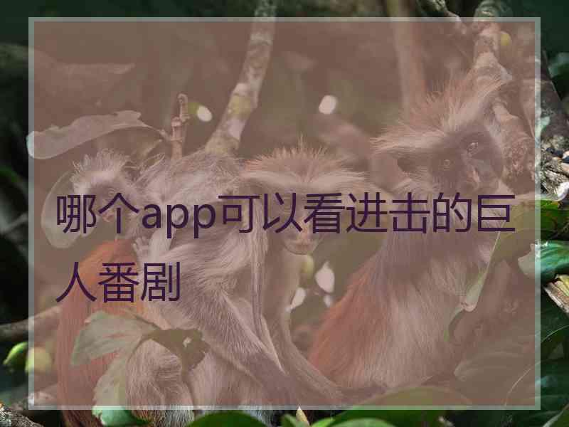 哪个app可以看进击的巨人番剧