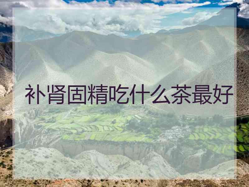 补肾固精吃什么茶最好
