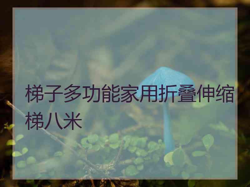 梯子多功能家用折叠伸缩梯八米