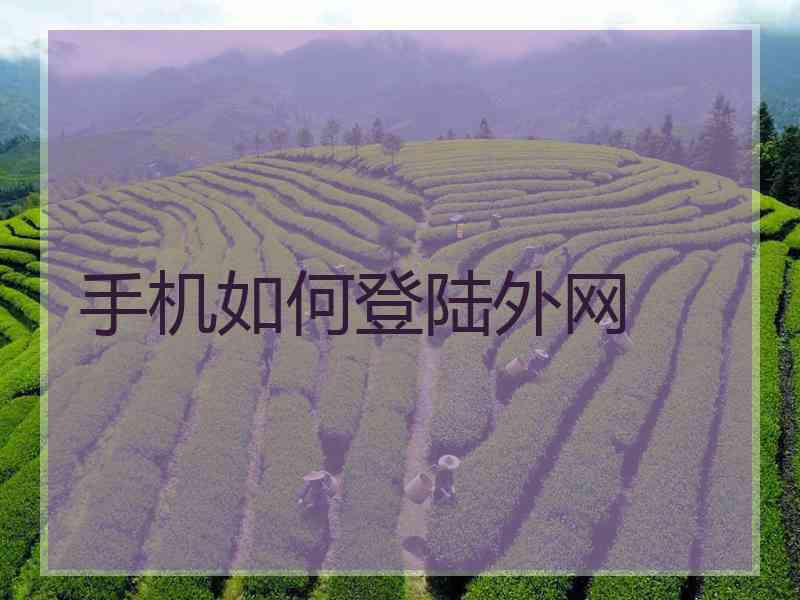 手机如何登陆外网