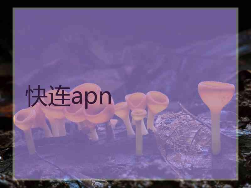 快连apn