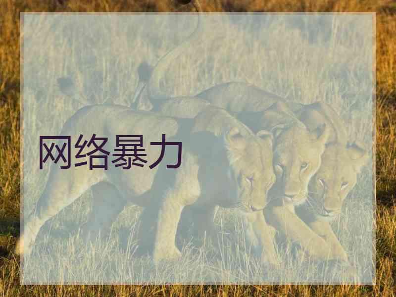 网络暴力
