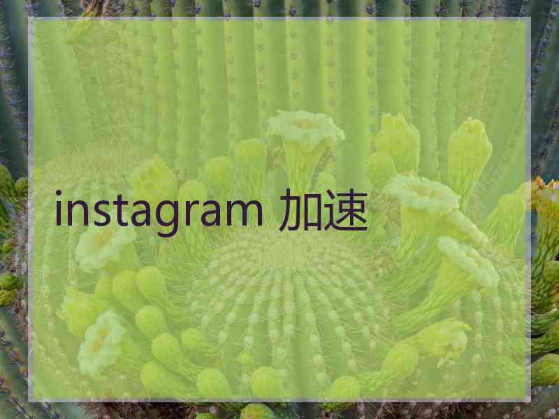 instagram 加速