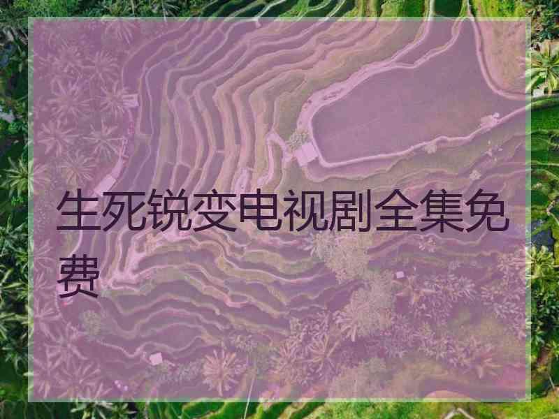 生死锐变电视剧全集免费