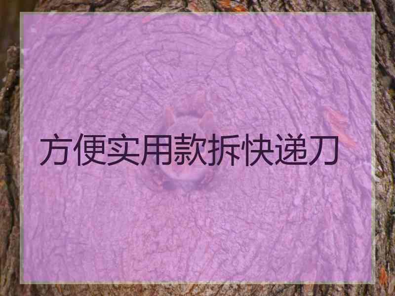 方便实用款拆快递刀