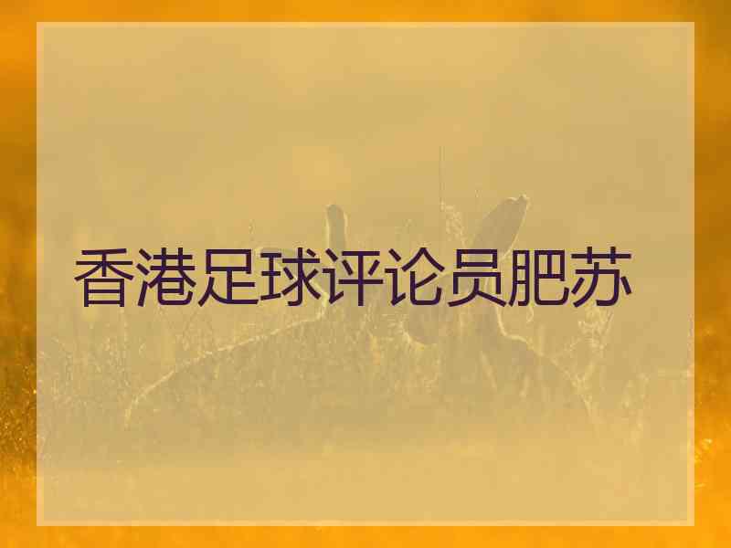 香港足球评论员肥苏