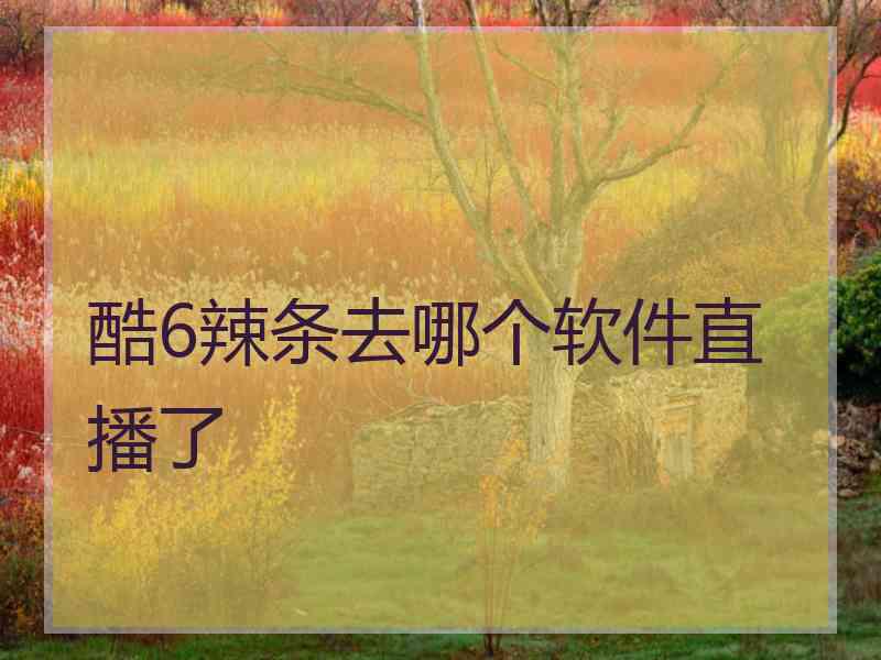 酷6辣条去哪个软件直播了