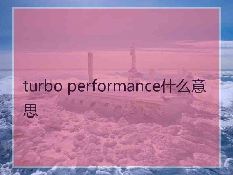turbo performance什么意思