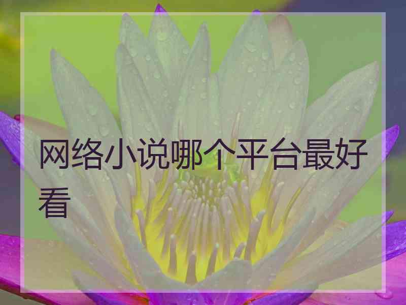 网络小说哪个平台最好看