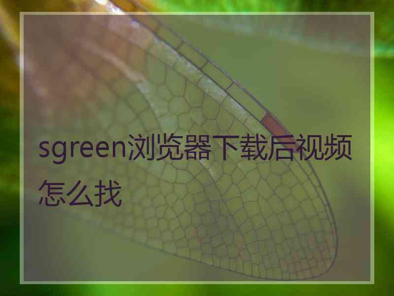 sgreen浏览器下载后视频怎么找