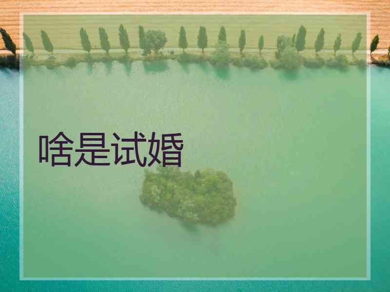 啥是试婚