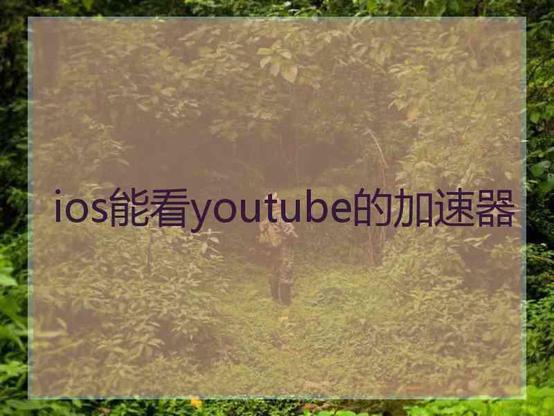 ios能看youtube的加速器