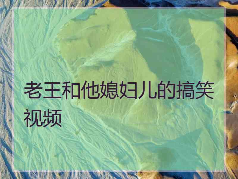 老王和他媳妇儿的搞笑视频