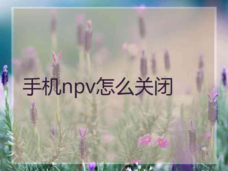 手机npv怎么关闭