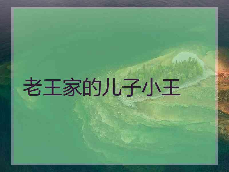 老王家的儿子小王