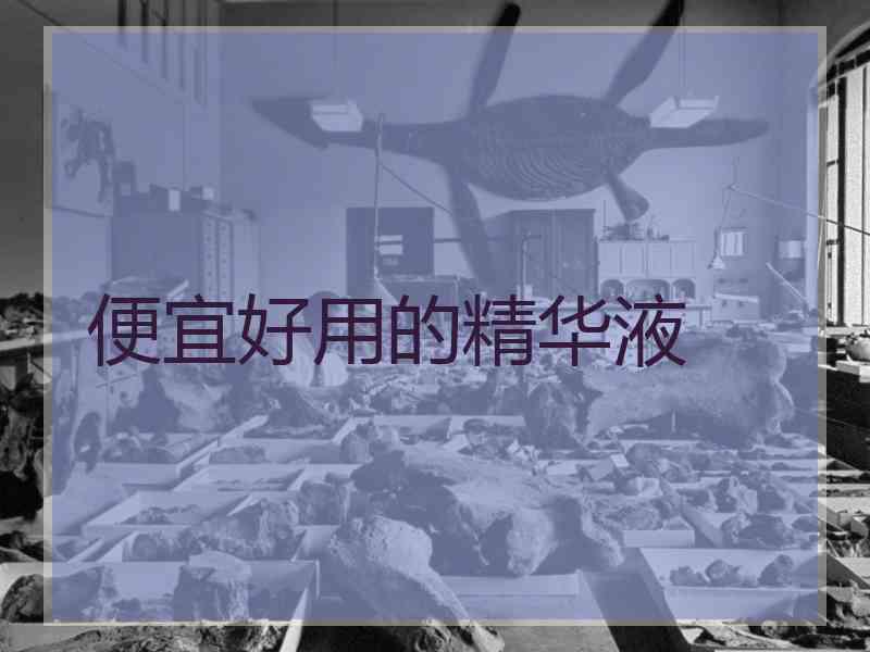 便宜好用的精华液