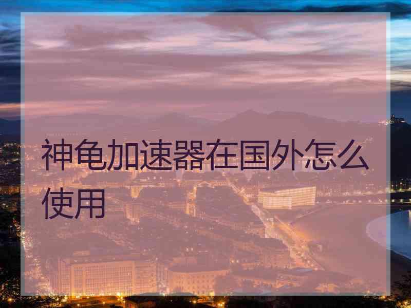 神龟加速器在国外怎么使用