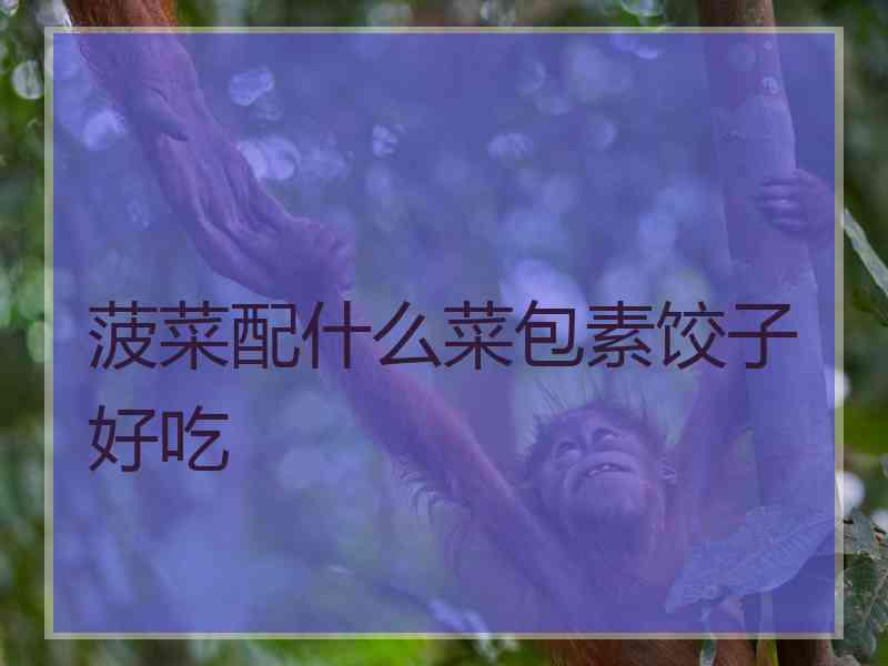 菠菜配什么菜包素饺子好吃