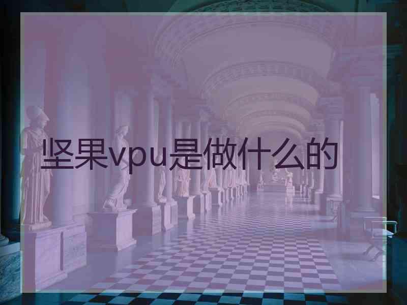 坚果vpu是做什么的
