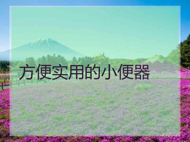 方便实用的小便器