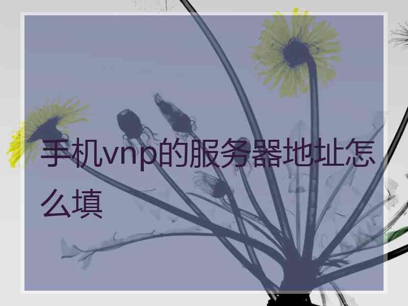 手机vnp的服务器地址怎么填