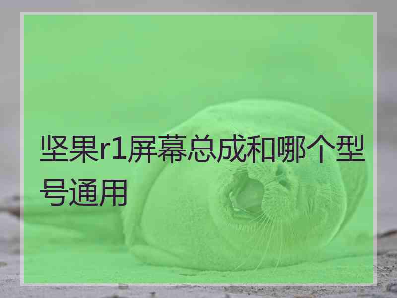 坚果r1屏幕总成和哪个型号通用