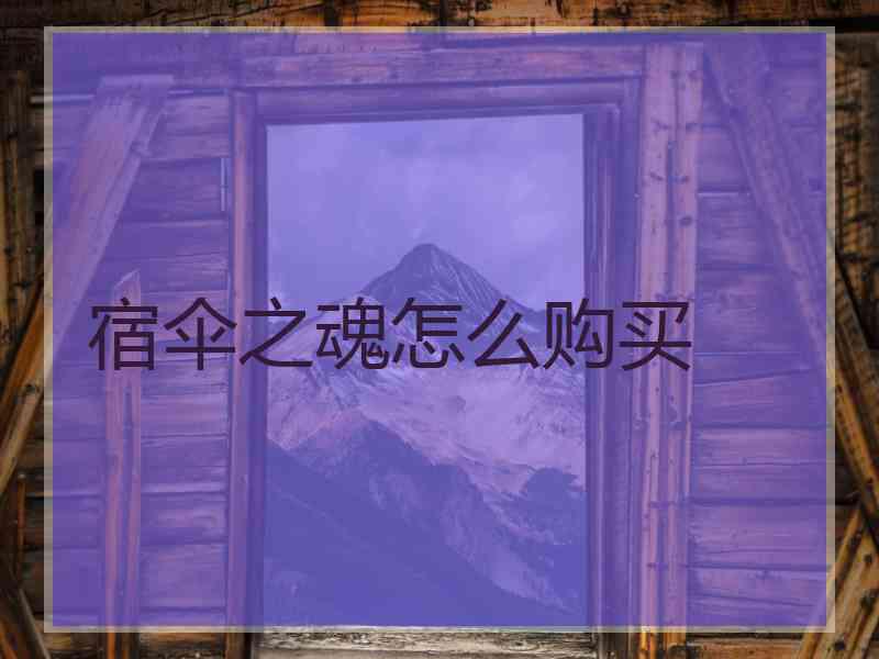 宿伞之魂怎么购买