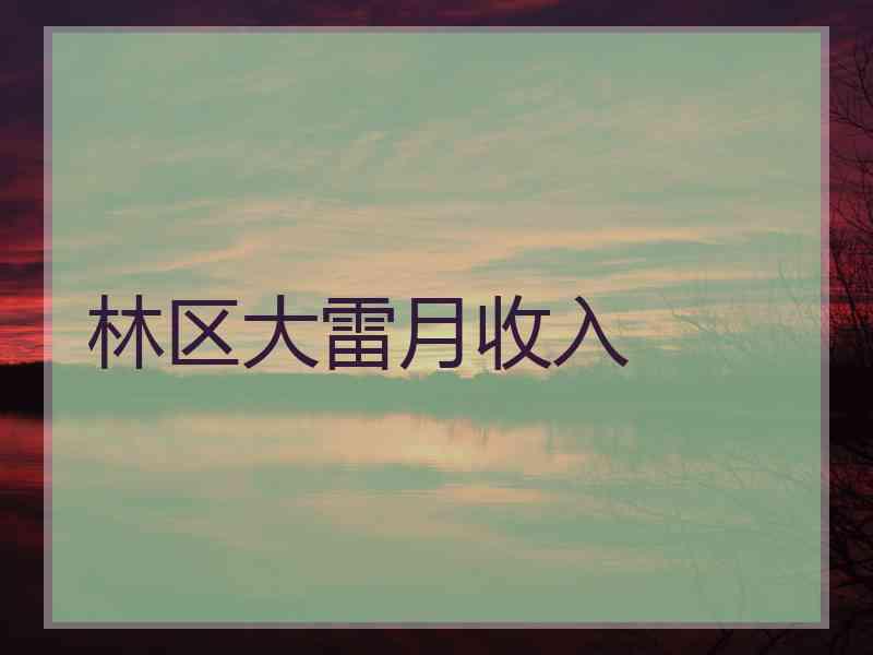 林区大雷月收入