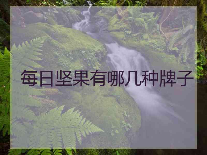 每日坚果有哪几种牌子