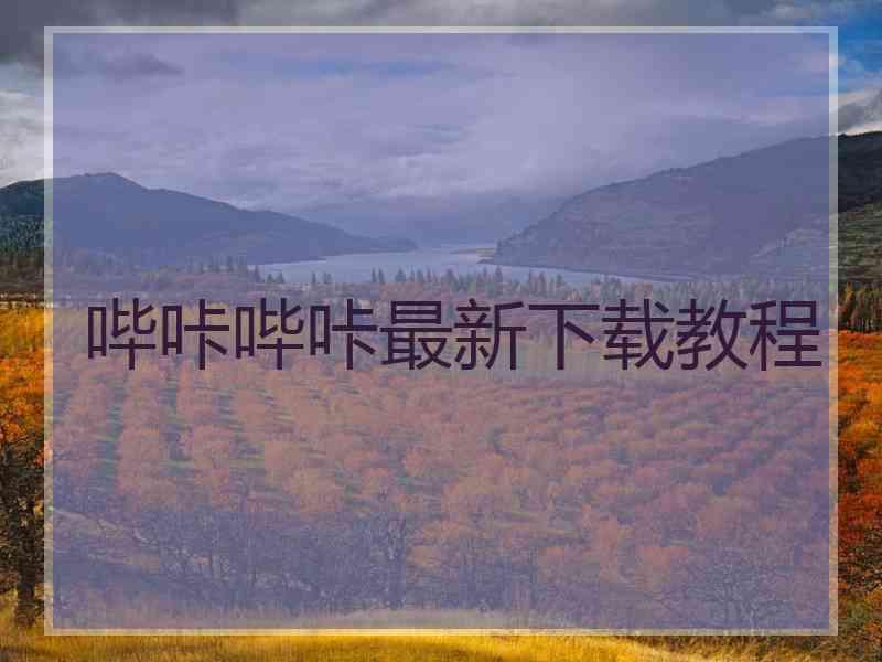 哔咔哔咔最新下载教程