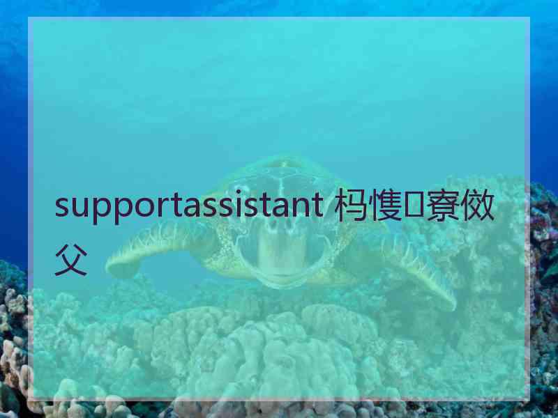 supportassistant 杩愯寮傚父
