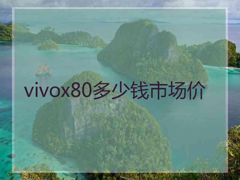 vivox80多少钱市场价