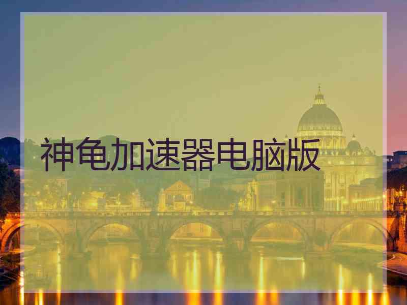 神龟加速器电脑版
