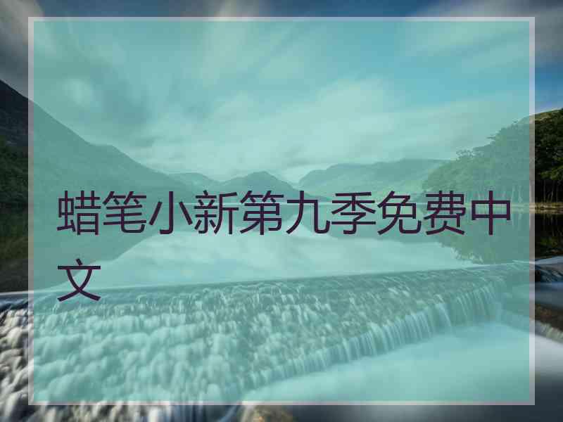 蜡笔小新第九季免费中文