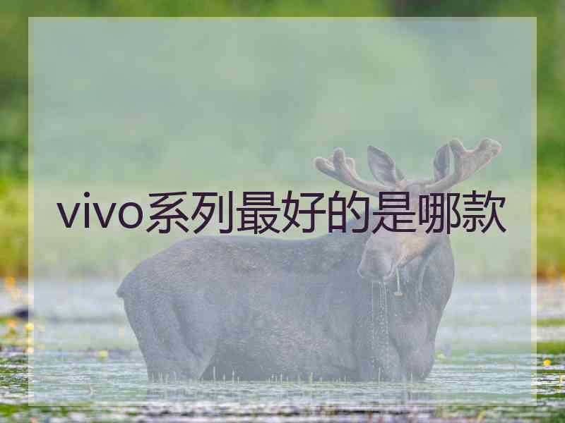 vivo系列最好的是哪款