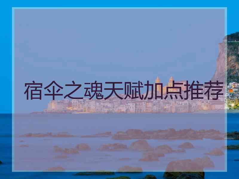 宿伞之魂天赋加点推荐