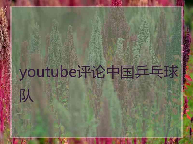 youtube评论中国乒乓球队