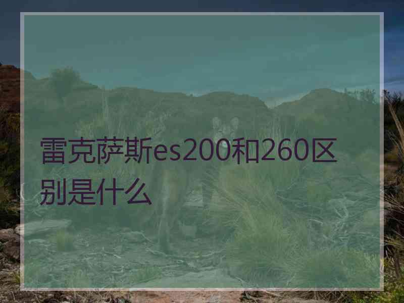 雷克萨斯es200和260区别是什么