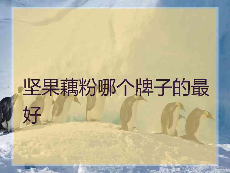 坚果藕粉哪个牌子的最好