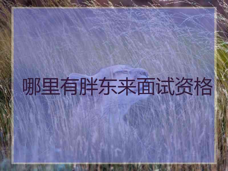 哪里有胖东来面试资格
