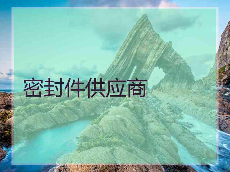密封件供应商
