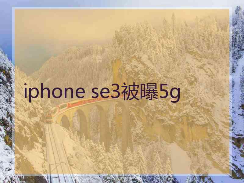 iphone se3被曝5g